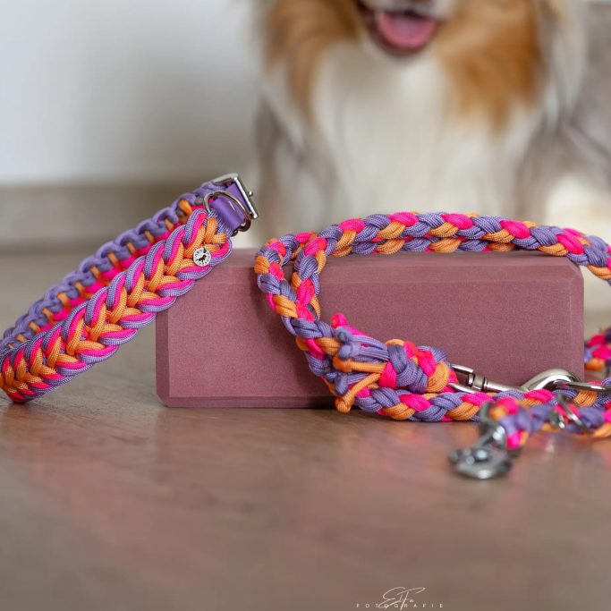 Sofort Verfügbar Sofort Verfügbare Leinen und Halsbänder für Hunde aus Paracord. Super stabil und stylisch