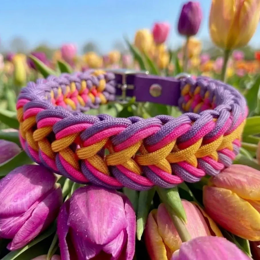 Hundehalsband