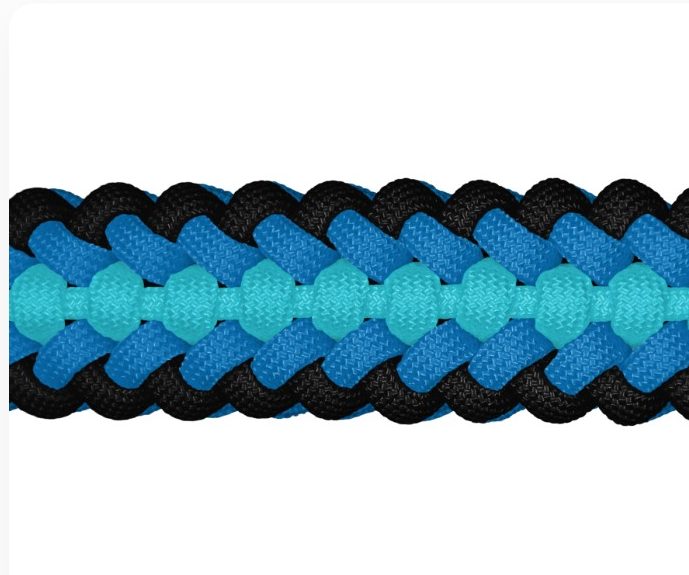 Hundehalsband konfigurierbar