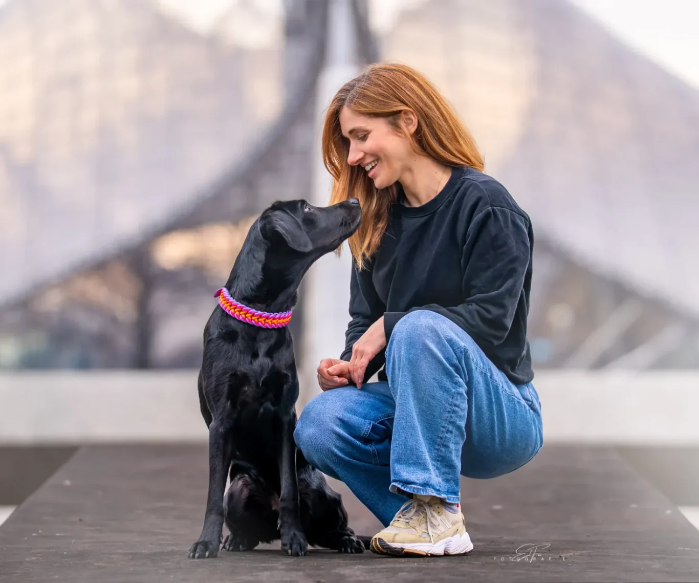 Halter und Hund mit Hundehalsband